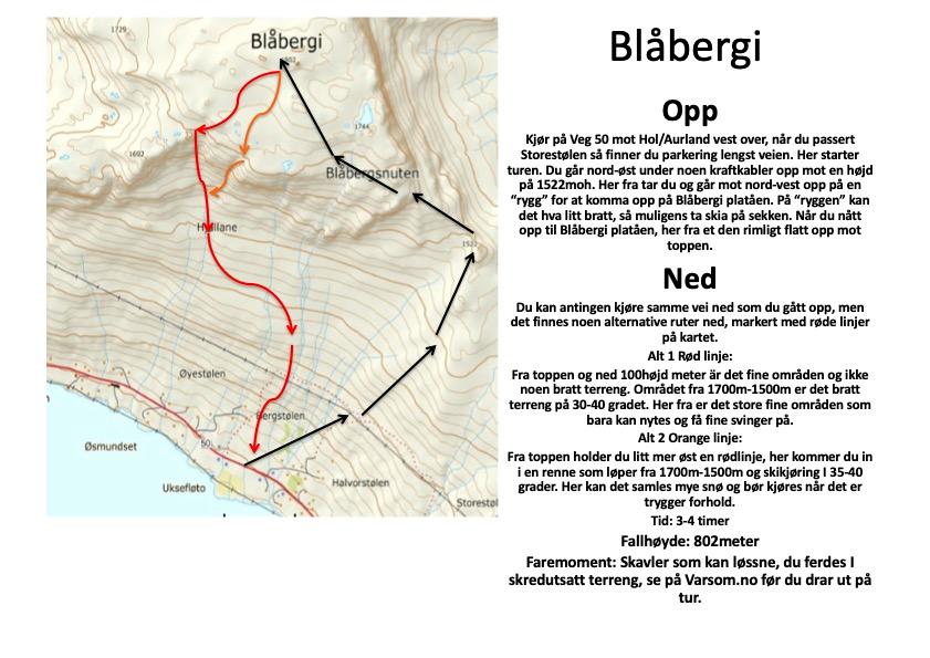 Blåbergi Vinter